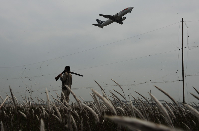 驅(qū)鳥隊員一遍遍的巡邏讓福州機場開航至今,沒有發(fā)生過一起因為鳥類引發(fā)的飛行安全事故。